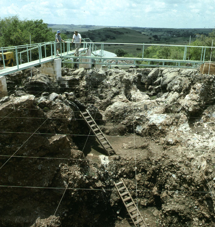 Ponto Turístico Cradle of Humankind em Joanesburgo