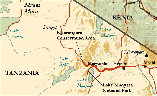 Ponto Turístico Parque Nacional Serengeti em Arusha (Serengeti/Ngorongoro)