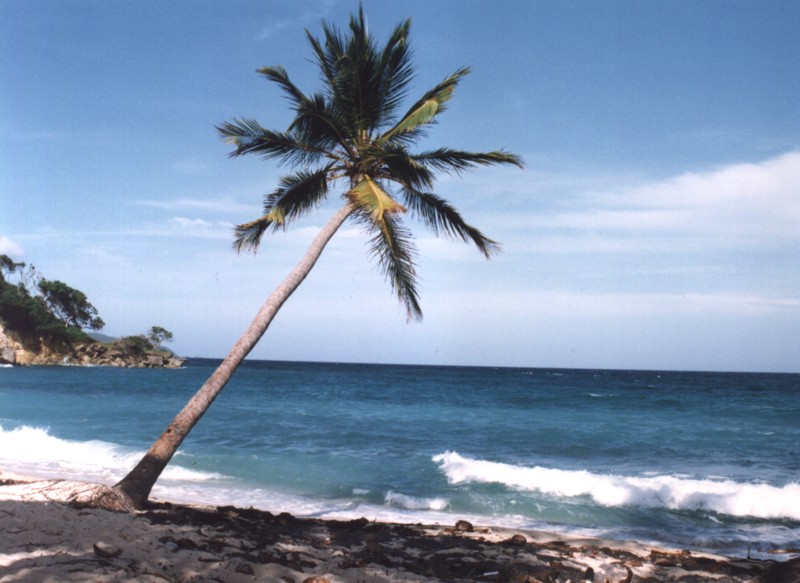 Ponto Turístico Playa Bávaro em Punta Cana
