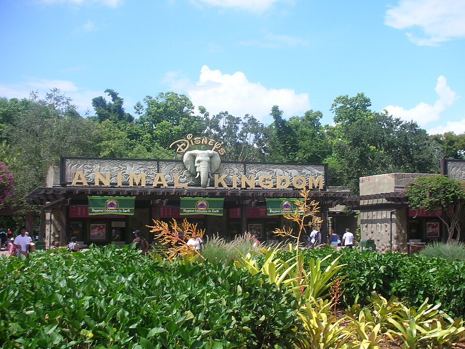 Ponto Turístico Disney's Animal Kingdom em Orlando