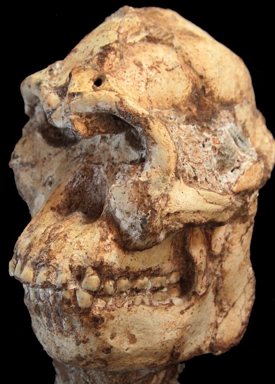 Ponto Turístico Prometheus Cave (Caverna de Prometeu) em Kutaisi