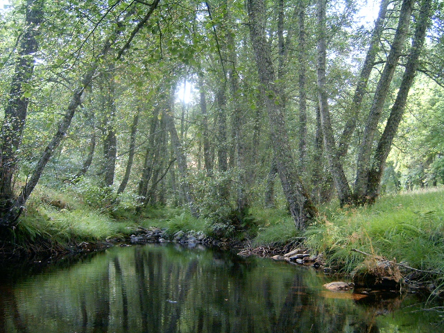 Ponto Turístico Parque Natural de Montesinho (Arredores) em Bragança