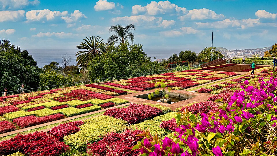 Ponto Turístico Jardim Botânico da Madeira em Funchal