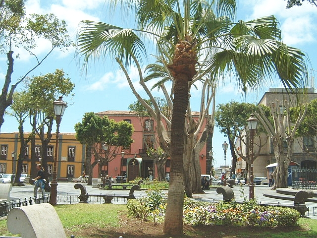 Ponto Turístico Catedral de Santa Ana em Las Palmas de Gran Canaria