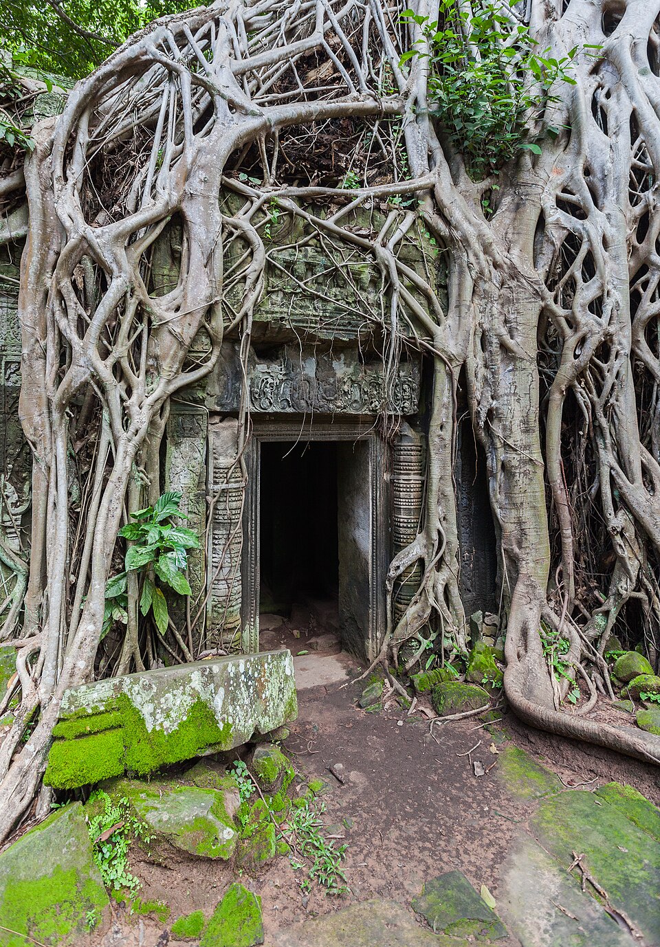 Ponto Turístico Ta Prohm (Templo das Raízes) em Siem Reap