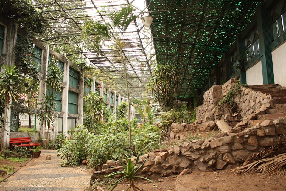 Ponto Turístico Jardim Tunduru (Botânico) em Maputo