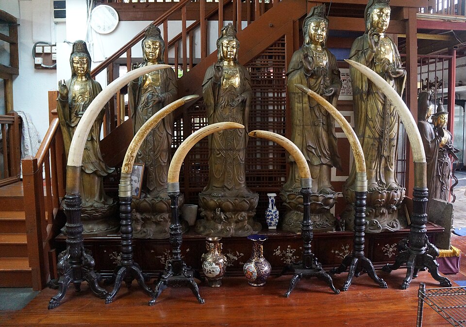 Ponto Turístico Templo Gangaramaya em Colombo