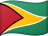 Bandeira Oficial de Guiana