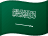Bandeira Oficial de Arábia Saudita