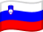 Bandeira Oficial de Eslovênia
